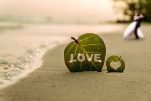 OBX wedding
